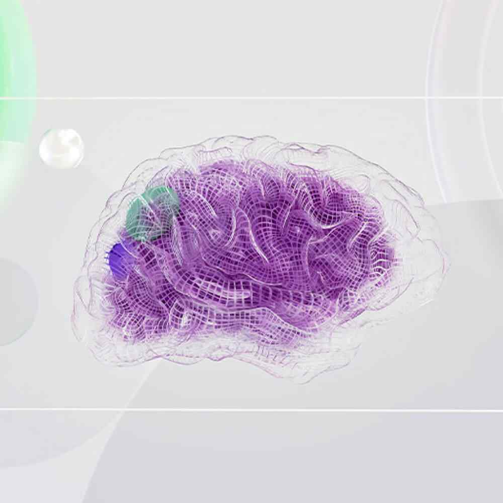 inner_image_02 https://neurozai.com/wp-content/uploads/2023/11/inner_image_02.jpg