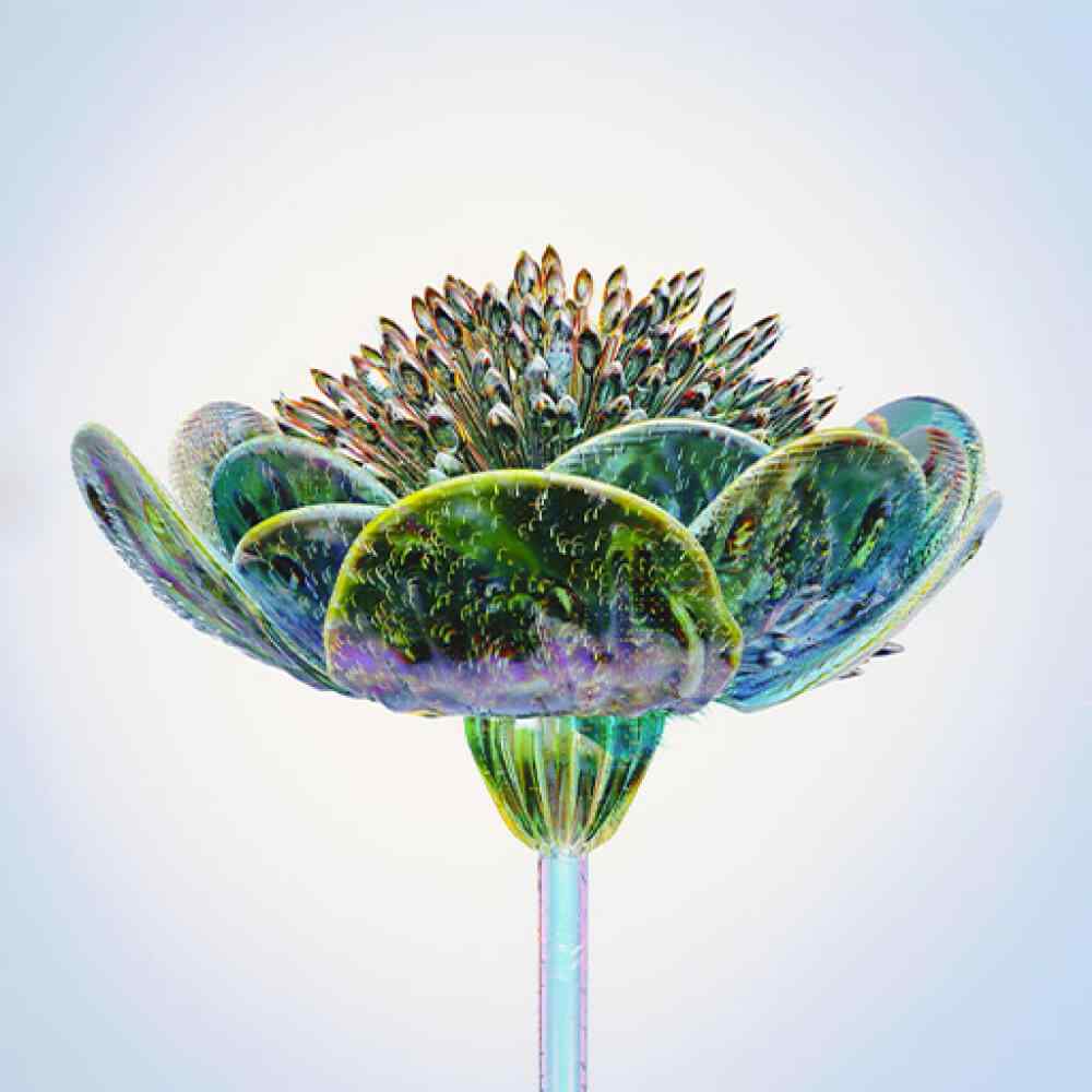 inner_image_03 inner_image_03